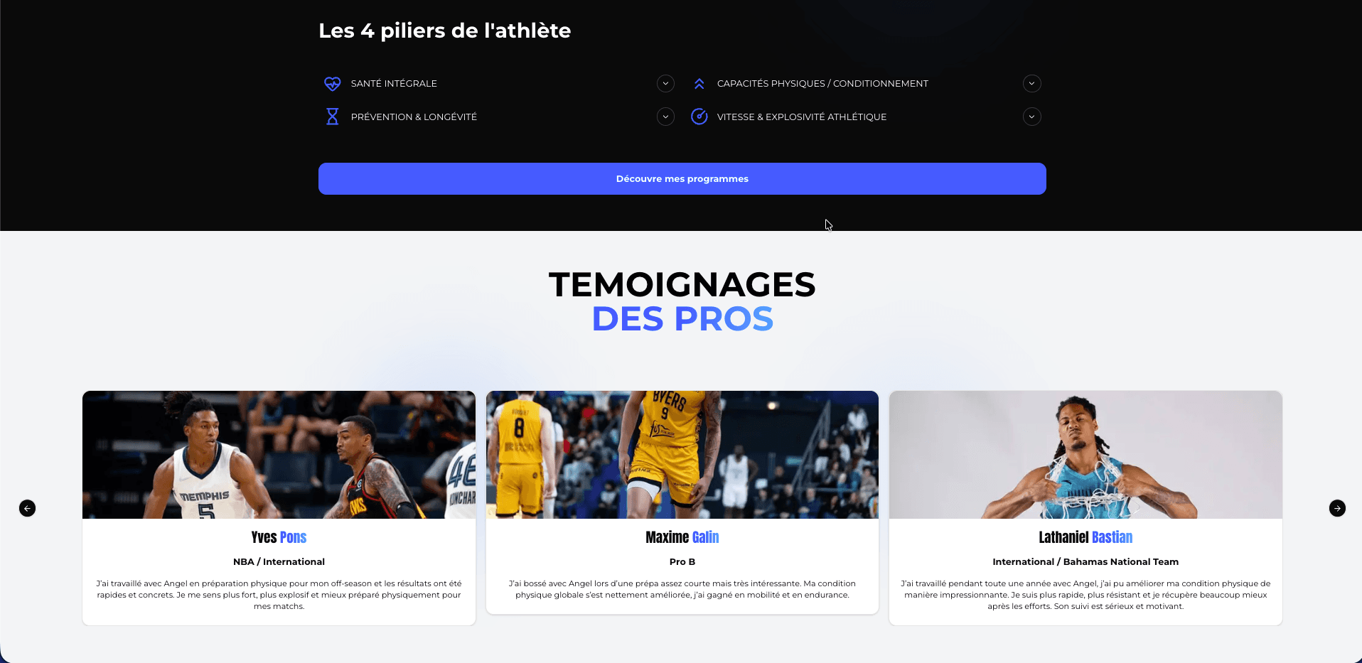 AG Perf - Miniature 2